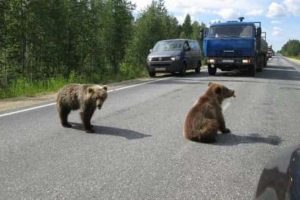 Klyker Picdump #1977 (42 photos)