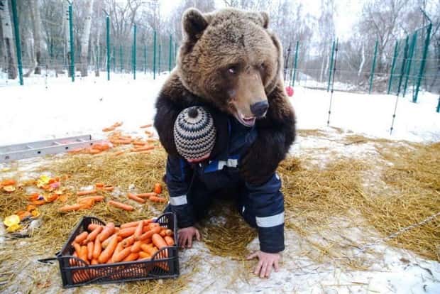 Klyker Picdump #1978 (43 photos)