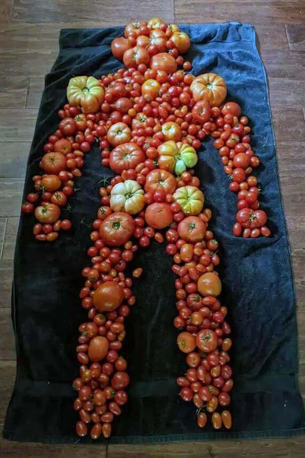 Klyker Picdump #1980 (45 photos)