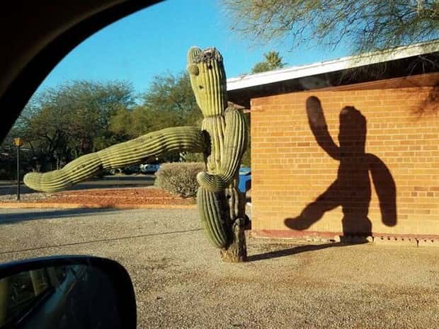 Klyker Picdump #1980 (45 photos)