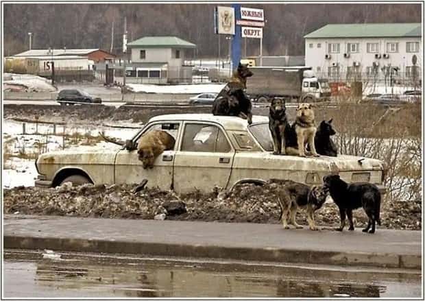 Klyker Picdump #1980 (45 photos)