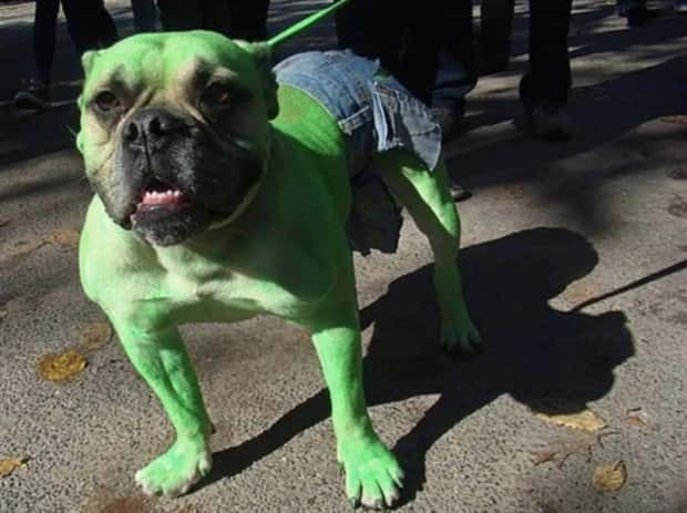 Cosplays So Messed Up They’re Brilliant (32 photos)