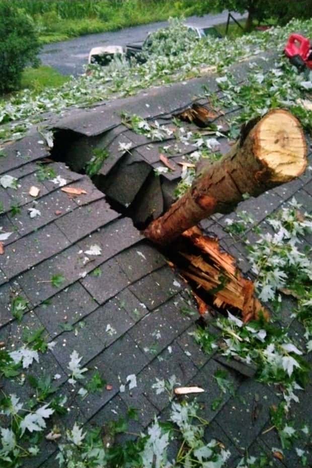 Shit Happens Regularly, Get Used To It #379 (18 photos)