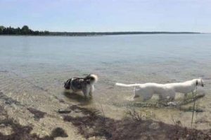 Weird Panorama Fails Breaking Reality Apart (22 photos)