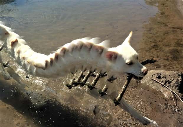 Weird Panorama Fails Breaking Reality Apart (22 photos)