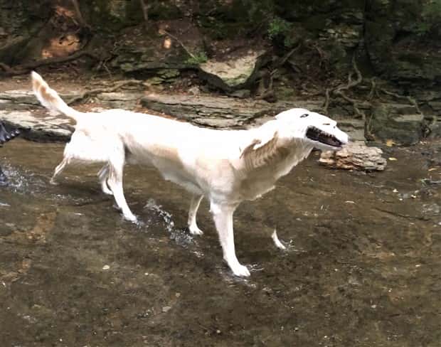 Weird Panorama Fails Breaking Reality Apart (22 photos)