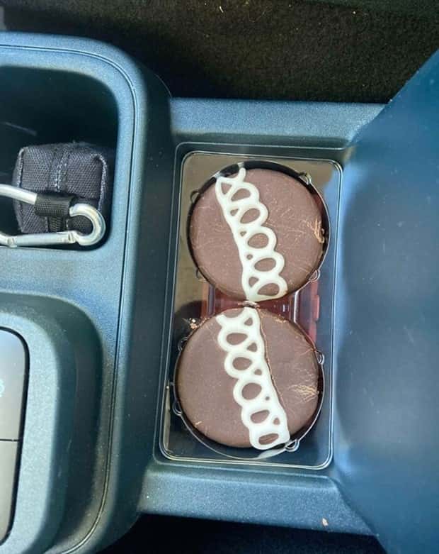 Oddly Perfect Matches You Can’t Ignore (30 photos)