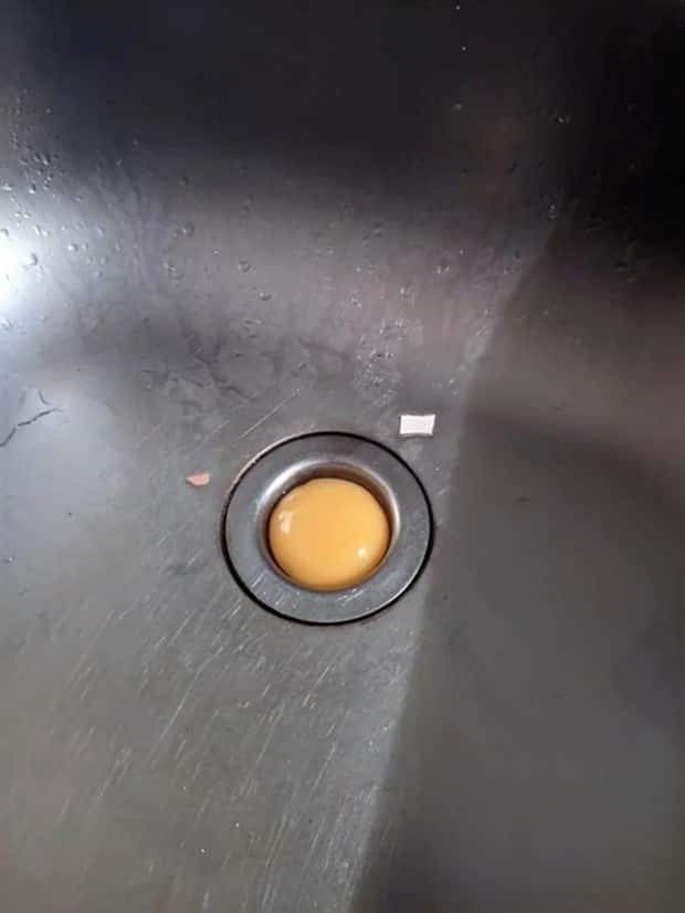 Oddly Perfect Matches You Can’t Ignore (30 photos)