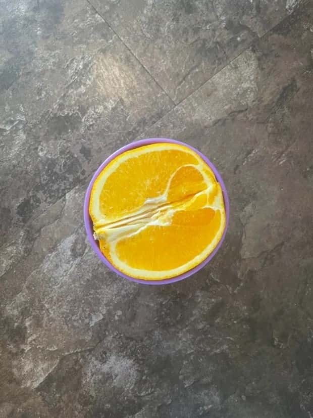 Oddly Perfect Matches You Can’t Ignore (30 photos)