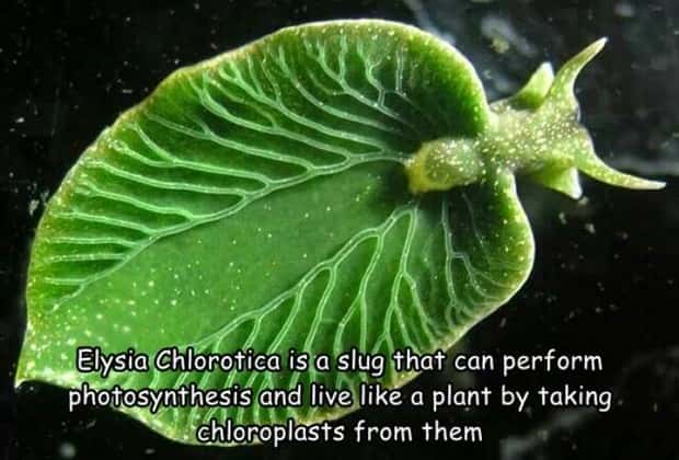 pictures with captions 12 4 Interesting Pictures with Captions #208 (20 photos)