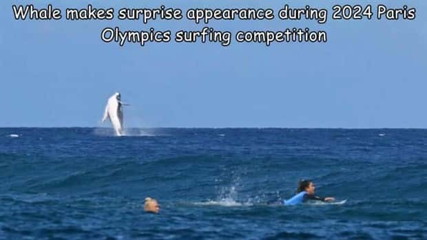 pictures with captions 12 5 Interesting Pictures with Captions #209 (22 photos)