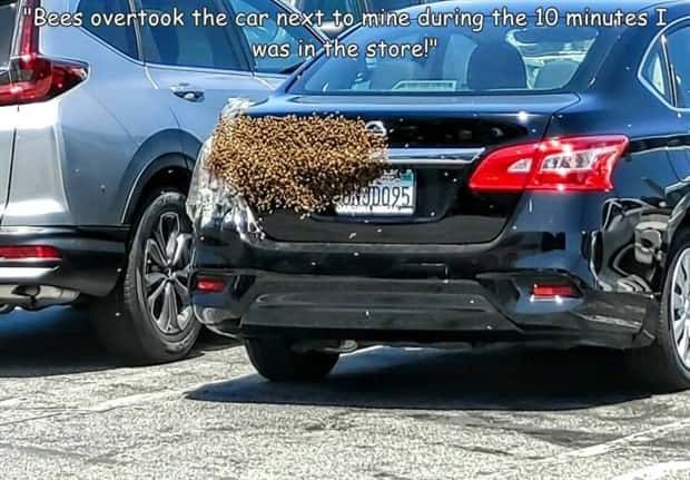Interesting Pictures with Captions #206 (23 photos)