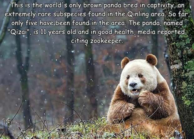 Interesting Pictures with Captions #205 (19 photos)
