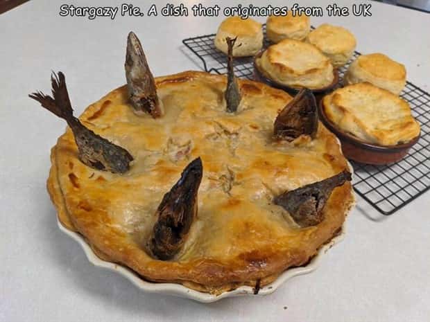 pictures with captions 17 5 Interesting Pictures with Captions #209 (22 photos)