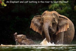 Interesting Pictures with Captions #207 (21 photos)