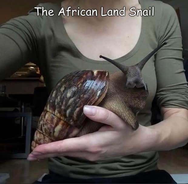 Interesting Pictures with Captions #206 (23 photos)