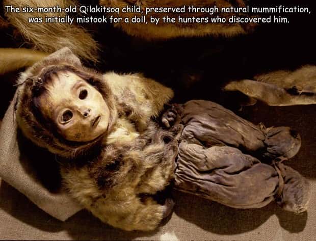 Interesting Pictures with Captions #206 (23 photos)