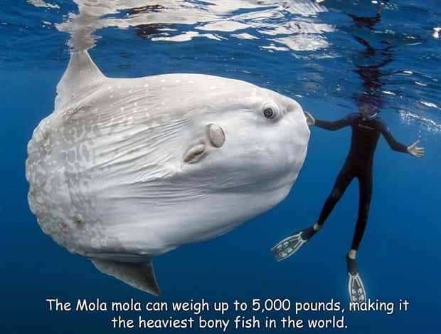 pictures with captions 6 4 Interesting Pictures with Captions #208 (20 photos)