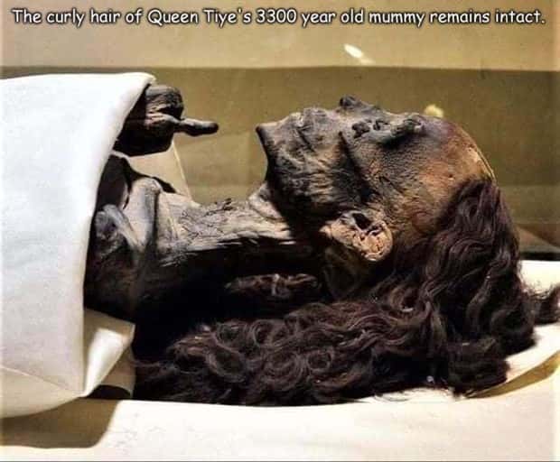 Interesting Pictures with Captions #206 (23 photos)