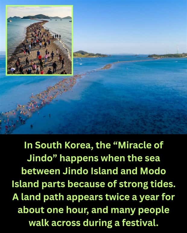 random cool facts 2 Cool and Interesting Facts #483 (22 photos)