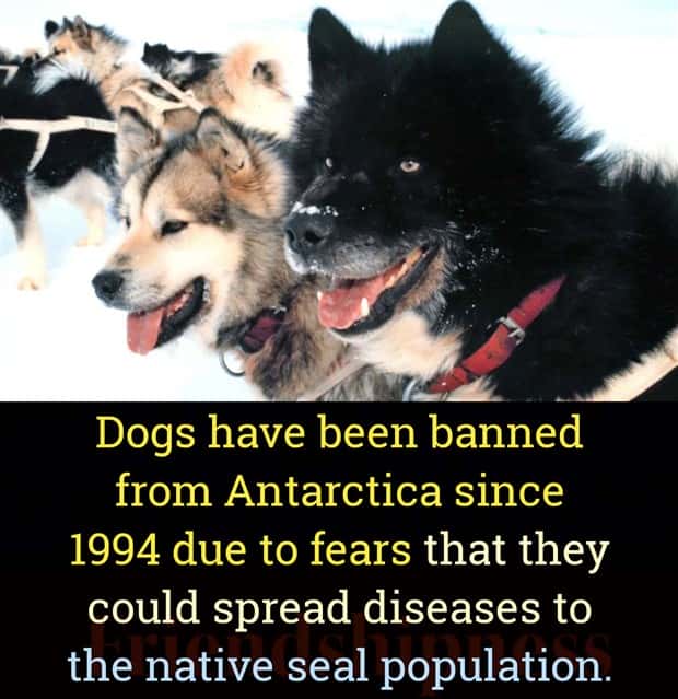 random cool facts 3 Cool and Interesting Facts #483 (22 photos)