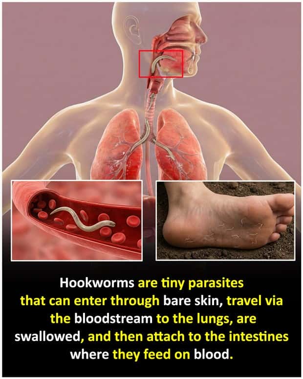 random cool facts 7 Cool and Interesting Facts #483 (22 photos)