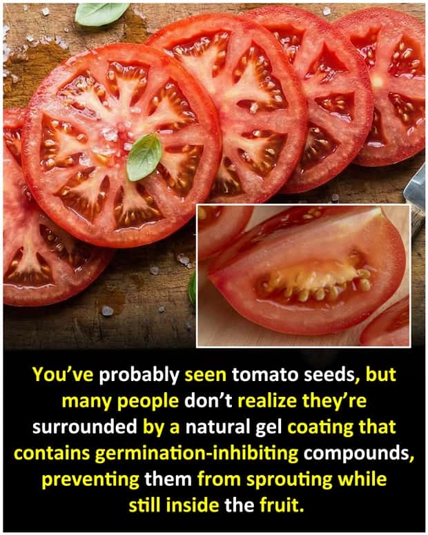 random cool facts 8 Cool and Interesting Facts #483 (22 photos)