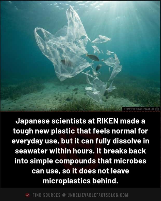 Cool and Interesting Facts #482 (21 photos)