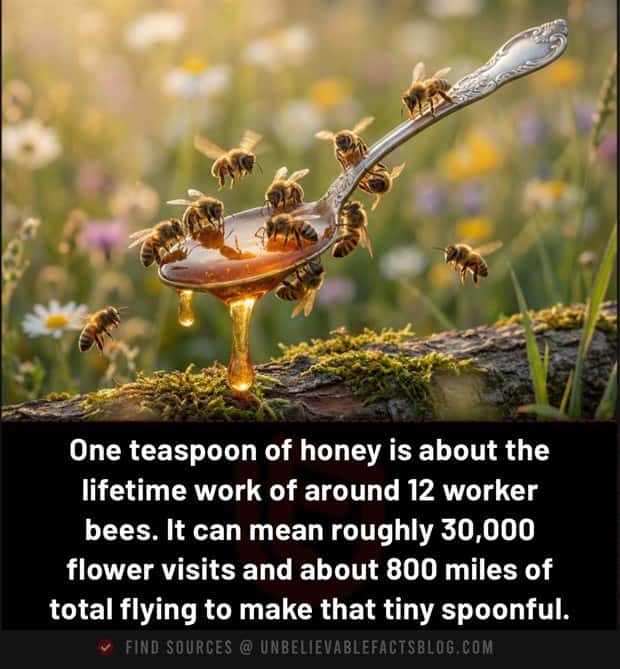 Cool and Interesting Facts #482 (21 photos)