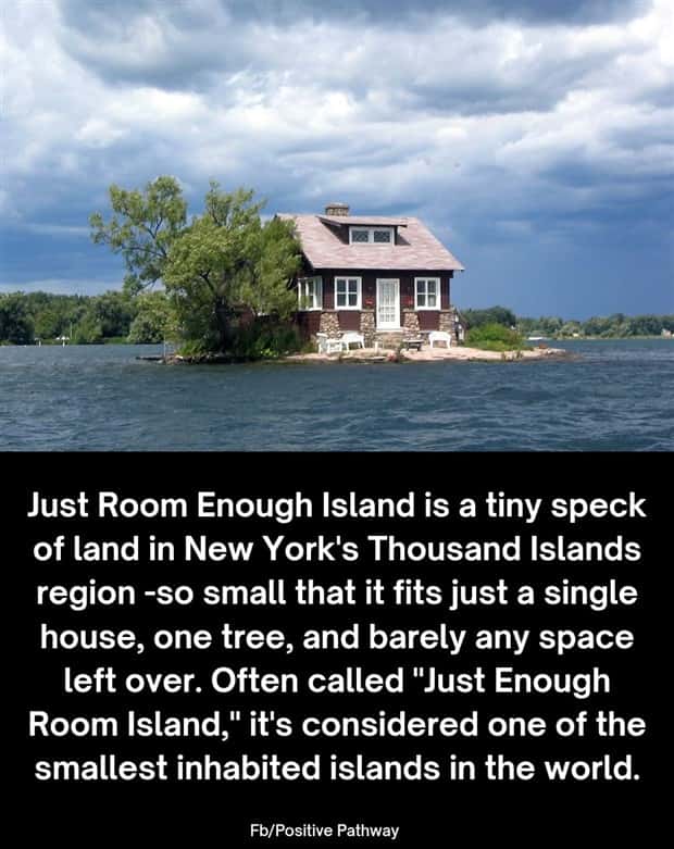 Cool and Interesting Facts #482 (21 photos)