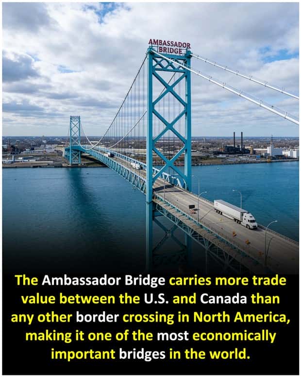 Cool and Interesting Facts #482 (21 photos)