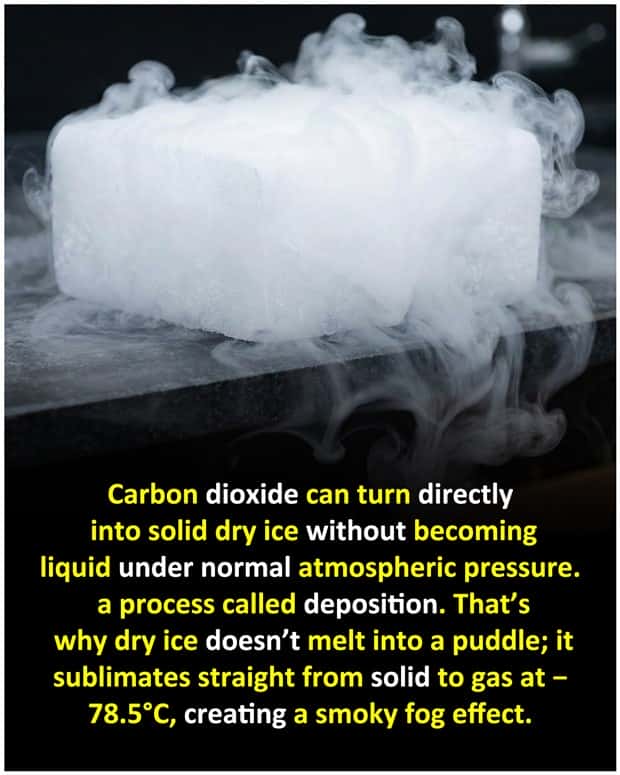 Cool and Interesting Facts #482 (21 photos)