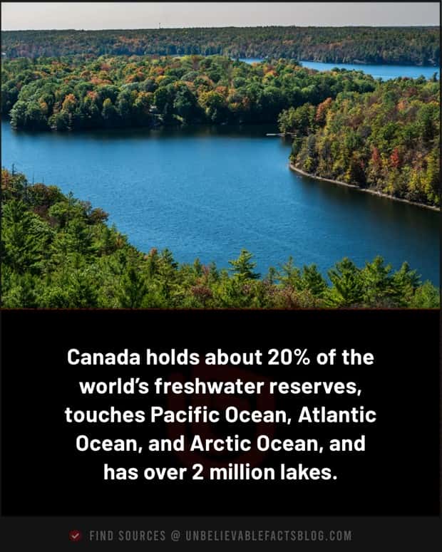 Cool and Interesting Facts #482 (21 photos)