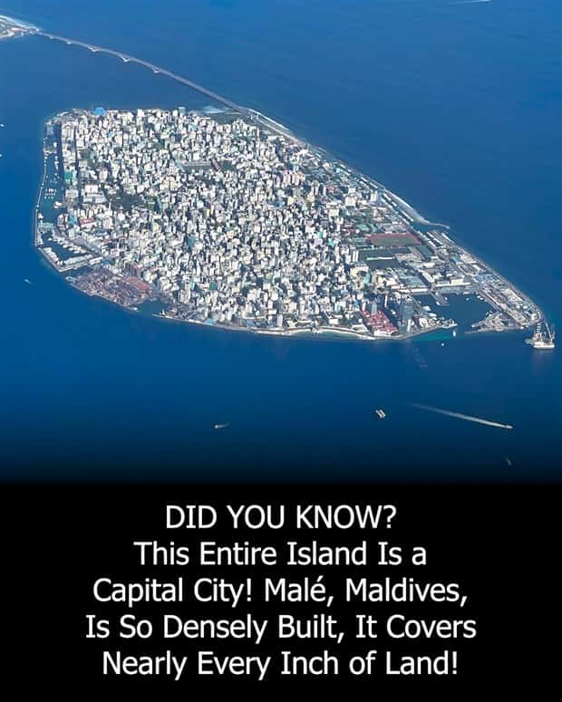 Cool and Interesting Facts #482 (21 photos)