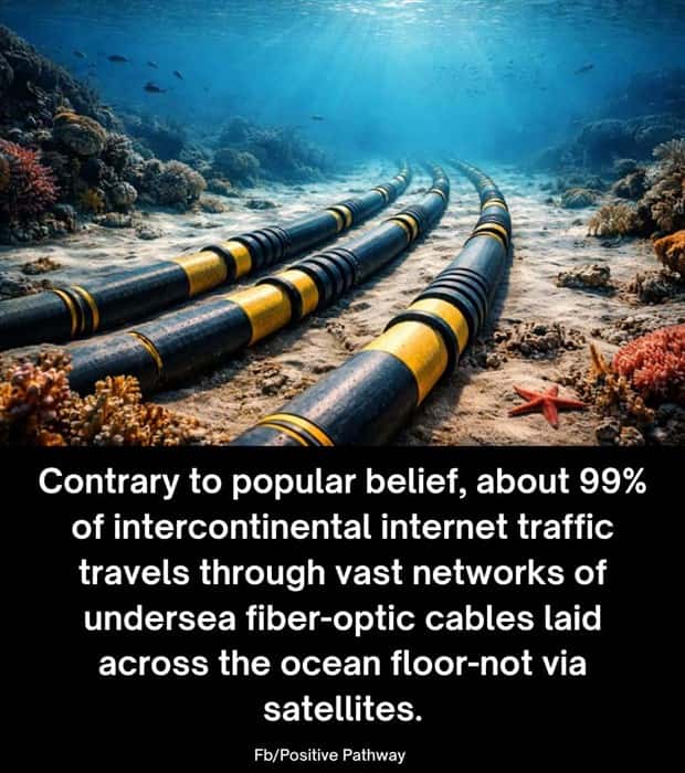 Cool and Interesting Facts #480 (23 photos)