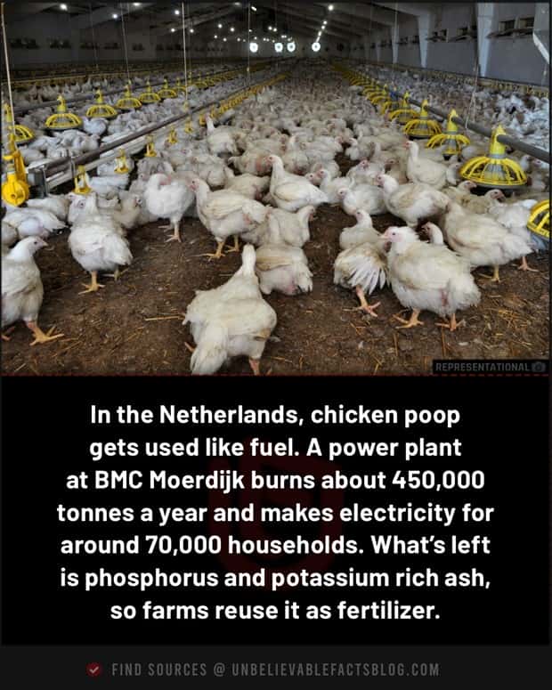 Cool and Interesting Facts #480 (23 photos)
