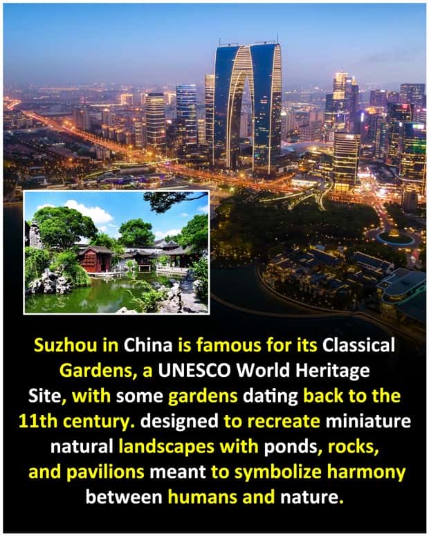 Cool and Interesting Facts #480 (23 photos)