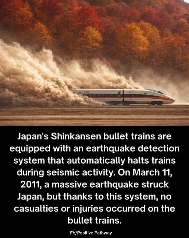 Cool and Interesting Facts #480 (23 photos)