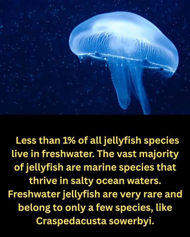 Cool and Interesting Facts #480 (23 photos)