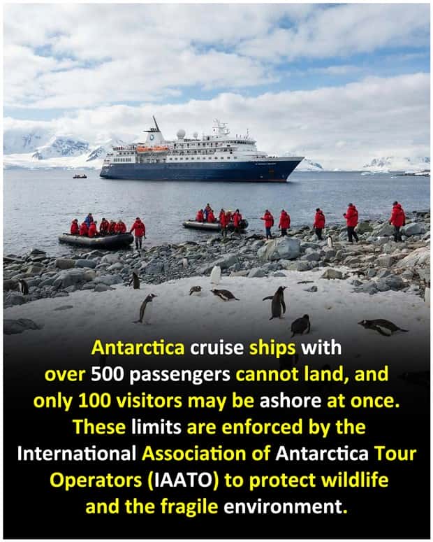 Cool and Interesting Facts #481 (24 photos)