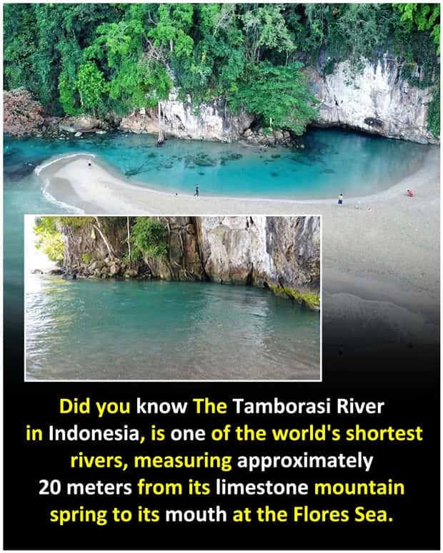 Cool and Interesting Facts #481 (24 photos)