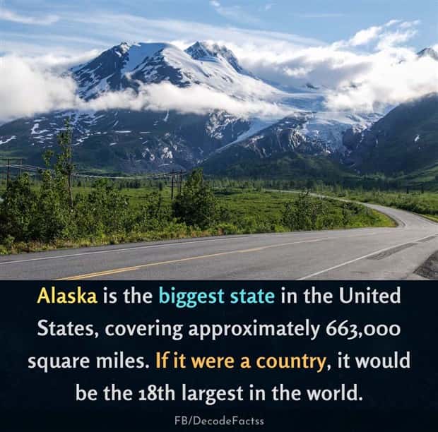 Cool and Interesting Facts #481 (24 photos)