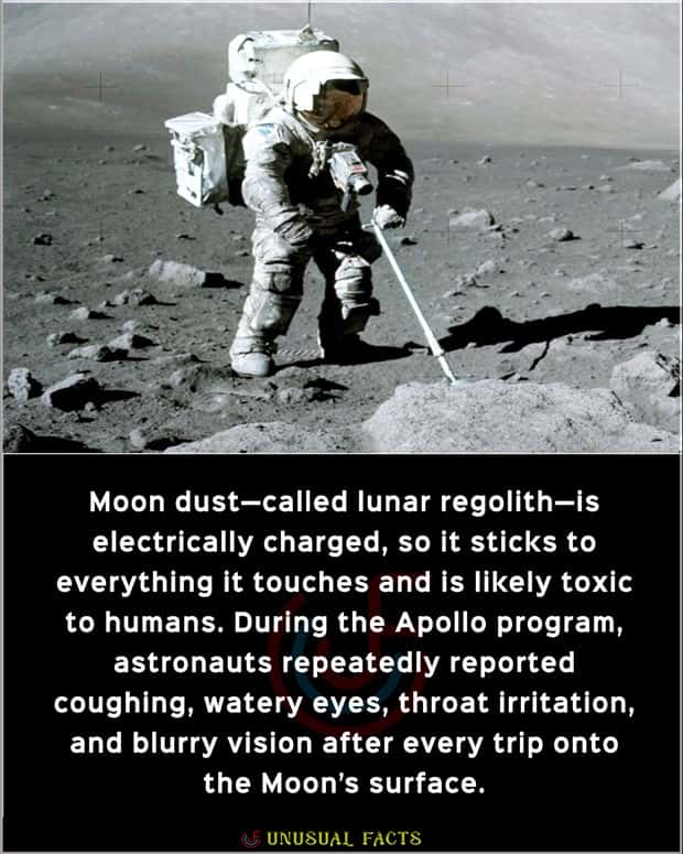 Cool and Interesting Facts #481 (24 photos)
