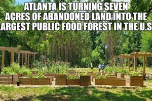 Cool and Interesting Facts #481 (24 photos)