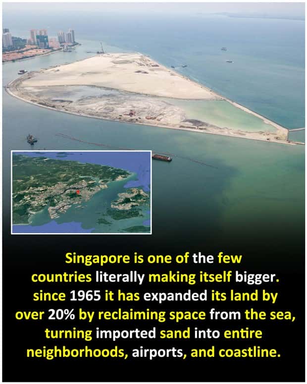 Cool and Interesting Facts #480 (23 photos)