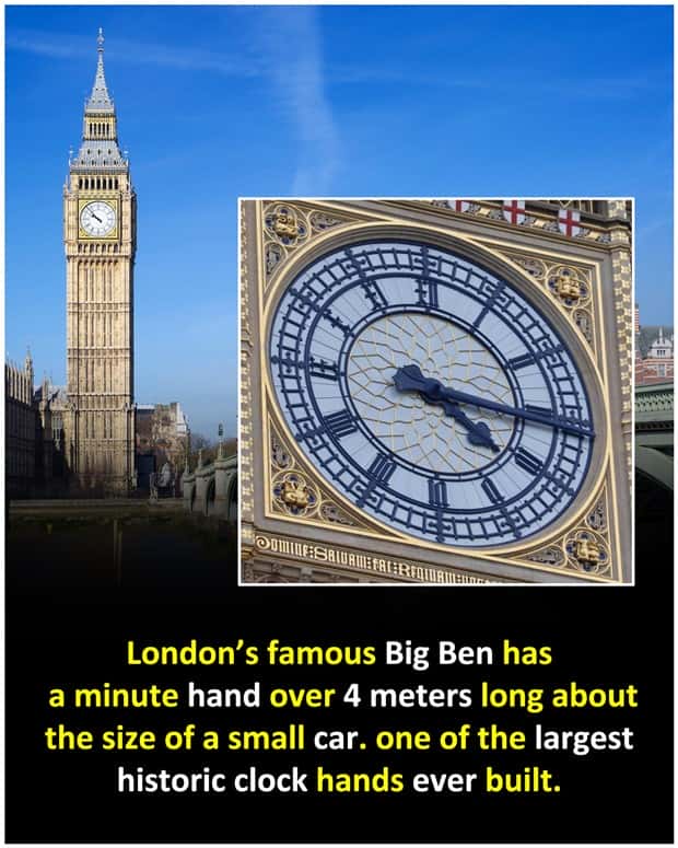 Cool and Interesting Facts #480 (23 photos)