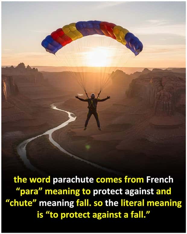 Cool and Interesting Facts #481 (24 photos)