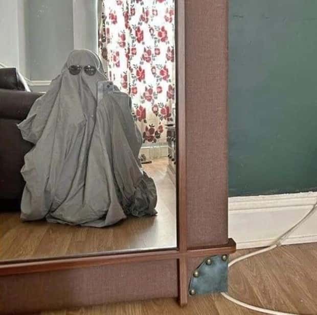 selling mirrors online 1 Selling Mirrors Leads To Fun Unexpected Problems (25 photos)