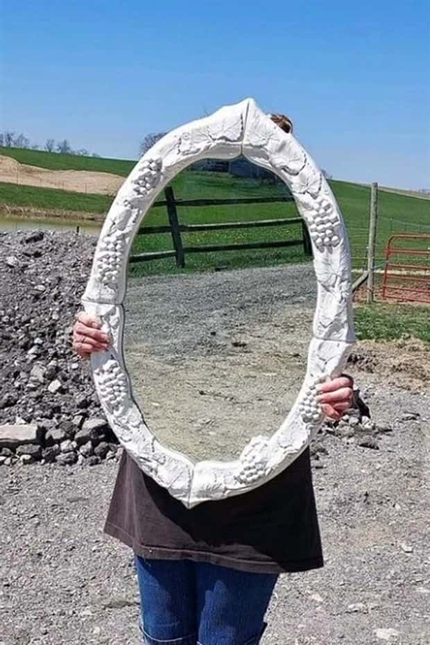 selling mirrors online 19 Selling Mirrors Leads To Fun Unexpected Problems (25 photos)