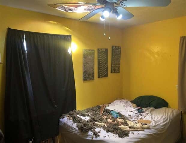 Shit Happens Regularly, Get Used To It #381 (23 photos)
